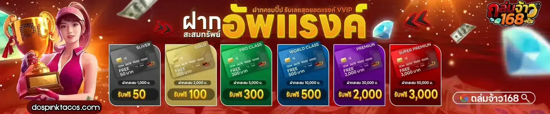 ถล่ม เจ้า 168 โค้ด
